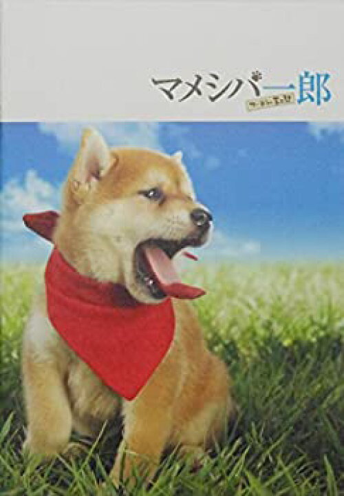楽天市場 中古 映画パンフレット マメシバ一郎 フーテンの芝二郎 監督 キャスト 佐藤二朗 南沢奈央 高橋洋 高橋直純 オマツリライフ別館 楽天市場 中古 映画パンフレット マメシバ一郎 フーテンの芝二郎 監督 キャスト 佐藤二朗 南沢奈央 高橋洋 高橋直純 オマツリライフ別館