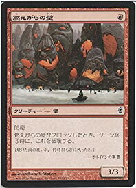 楽天市場 燃えがらのの通販