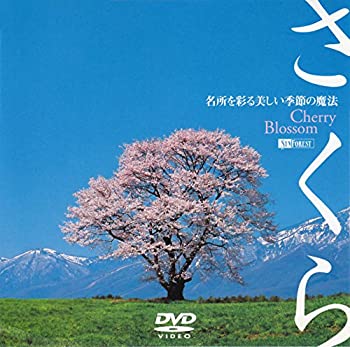 【中古】シンフォレストDVD さくら -名所を彩る美しい季節の魔法- Cherry Blossom