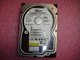 楽天市場 Lsa パソコン 周辺機器 の通販