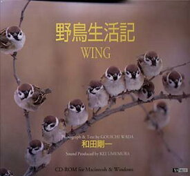 【中古】（非常に良い）野鳥生活記 Wing