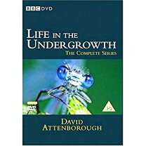 楽天市場】BBC ライフ・イン・ザ・アンダーグロウス／昆虫の世界 DVD 
