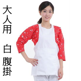 腹掛け 大人用 ヤマタ印 白色 腹掛 LL