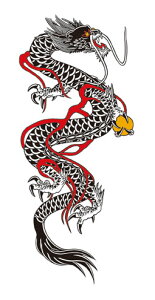 ^gD[V[ yWCAgTCY20×36cmz (G1019)