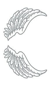 ^gD[V[ yM[TCY10×17.5cmz Vg̉HE(R269)