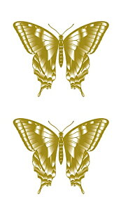 ^gD[V[ yM[TCY10×17.5cmz gHE(R263)