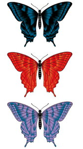 ^gD[V[ yM[TCY10×17.5cmz 3FgH(R220)