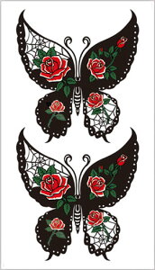 ^gD[V[ yM[TCY10×17.5cmz KN(R211)