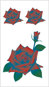 ^gD[V[ yM[TCY10×17.5cmz KN(R209)