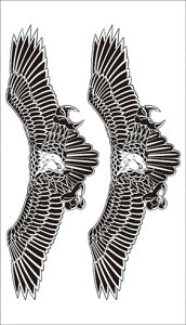 ^gD[V[ yM[TCY10×17.5cmz h(R206)