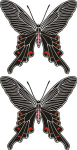 ^gD[V[ yM[TCY10×17.5cmz gH(R193)