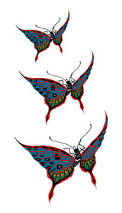 ^gD[V[yM[TCY10×17.5cmz 3_(R024)