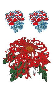 ^gD[V[yM[TCY10×17.5cmz e(R015)