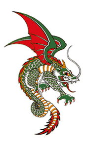 ^gD[V[yM[TCY10×17.5cmz (R010)