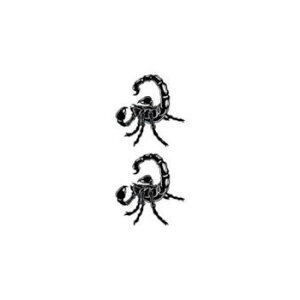 h V[ a  ^gD[V[y~jTCY (5×9cm)z T\(^gD[ ~j TATOO V[ tFCN^gD[ ꂸ݃V[  h {fBV[ ՂObY Ղߑ Ղpi {