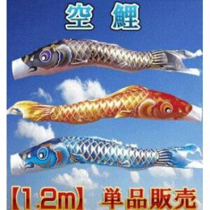 ̂ڂ x_ Pi  ̂ڂ yz1.2m