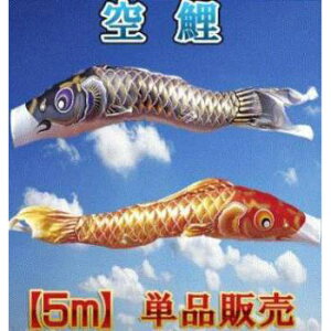 ̂ڂyPizyẑڂ yz5m