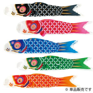 ̂ڂ Pi x_  ̂ڂ y^t^ 1.5m     z