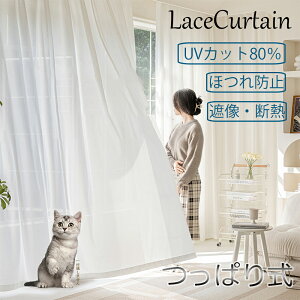 [XJ[e 1-2 ς莮 UVJbg80% O猩ɂ fM ۉ Ԏd؂ vCoV[ی n  k o Ց Ռ