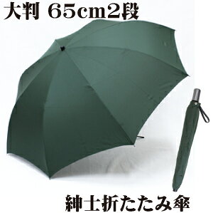 二段 折りたたみ傘 メンズ傘 通販 人気ランキング 価格 Com