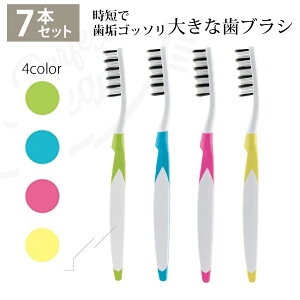 Hu cleaniq[N[j 7{Zbg uV G`Pbg L\h f^PA \h C Z uV 傫TCY 傫uV