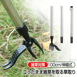     ֗ ObY Lk G ܂ G XeX 背[L       J} i | _    NTJ 