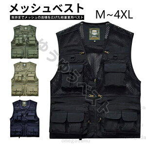 bVxXg Y ėp xXg |Pbgt ƒ _ d pH fB[X AEghA EH[LO oR ނ J} ~^[ Bep 