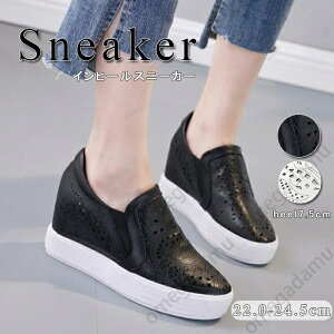  Xj[J[Cq[Xj[J[@{v ɂȂ fB[X  @zCg @ubN@Xj[J[@EFbW\[ Xb| Cq[Xb| Cq[ C