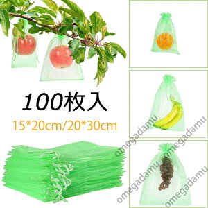 ʕ یlbg h lbg 100 ʎphlbg I[KW[n ʋC bV 悯lbg 悯lbg ʕیobO ʎ C`S 悯 悯 JX΍ Q