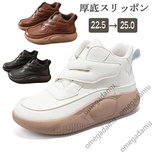 Xj[J[ fB[X O Xb| fB[X V[Y O Xj[J[ nCJbgXj[J[  RtH[gV[Y  EH[LOV[Y ʋC