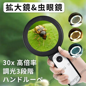 30{ { g勾 LEDCgt 30{ ዾ [y { ₷ g僌Y 3iK [y 莝[y 12LEDCgt Ǐ[y ዾ y Ǐ ώ@ ΊӒ  