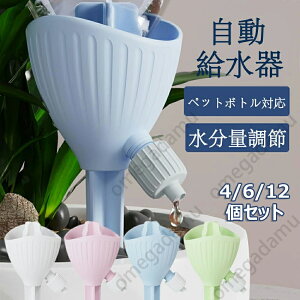  ybg{g Lbv 蓖  4/612Zbg @ ƒp       Up ϗtA   ybg{g 