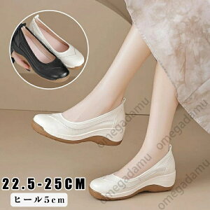 pvX ɂȂ fB[X pvX V[Y [q[ y  i[XV[Y Ȃ 5cmq[ ₷ rWlX   EFbW\[ ʋ ʊw  q[ t