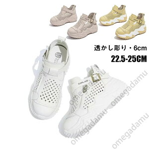 Xb| fB[X  T_   Xj[J[ L 6cmgAbv ʋCz fB[XV[Y T_Xb| Ȃ Ȃ Xbp z[Xbp 