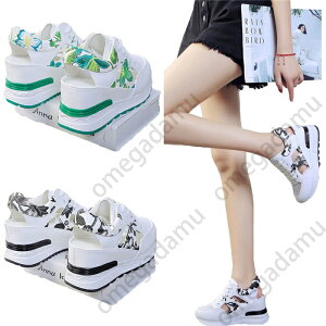 T_ fB[X T_ vbgtH[V[Y nCq[8cm X|[cT_ r[`T_ T_ ~[ fB[XT_ ؂ C V[Y AEghA