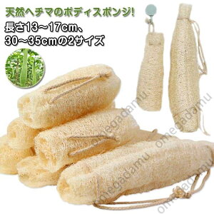 2 oXX|W ̐ wp V[ w`}킵 {fBX|W  VRw`} {fB^I A ւ C ւ