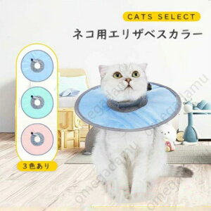 GUxXJ[L GUxXJ[ L ybg @p r r h~  Ђ n[h  _炩 tFU[J[