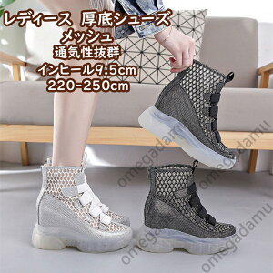 u[c  Cq[ fB[X ANu[c ~hu[c T_ T}[u[c bV JWA fB[X ₷ ɂȂ Wbp[ q[9.5cm X|[c ČC ʋ 