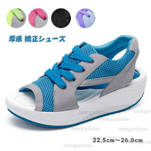   Xj[J[ fB[X _CGbgV[Y i[XV[Y  D^ EH[LOV[Y p T_ fB[X _X  WYV[Y ʋC r JW