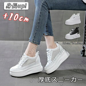  Xj[J[ 10cm y ėp gAbv C   bV T}[V[Y fB[X C V[Y EH[LO _bhXj[J[ tďH~ ʋC wȂ  r 