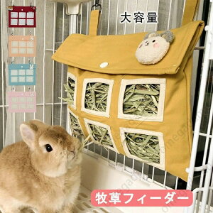  qtB[_[ obO q   a Ka  e nX^[ `` bgpi pi ybgpi 6̌ OtP[W ݂艺 