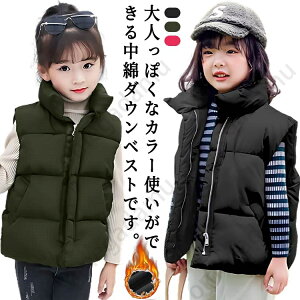  LbY X^hJ[ ȃxXg q AE^[ q _EWPbg j̎q ̎q WbvAbv  ۉ  y  xXg |Pbgt ʊw h΍ g H~ 