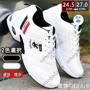 Y h Xj[J[ GANbV  y Jp jp hV[Y Ռz ʊw^C   ̓