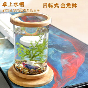 @@ANAE@~j@@@킢@i`@x^@~@ی`@Mы@RpNg@@]@k@ItBX@xbh[@ց@r