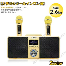 手持ちマイク2本セット カラオケ マイクカラオケマシン Bluetooth ワイヤレスマイク カラオケ歌うマシン プロフェッショナル ホーム KTV 2つのハンドヘルドマイク有線 無線接続 送料無料