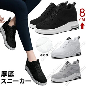 Xj[J[ fB[X EH[LOV[Y Cq[Xj[J[ fB[XXj[J[  V[NbgV[Y 8cm r y ؍ gAbv q[Abv Cq[ 