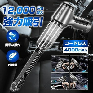 nfBN[i[ ԍڑ|@ R[hX ԗp J[N[i[pt USB[d͂ł p 12000PA ͋z͏^N[i[[? 3in1dGA[|v@\t lC y/Ɩ
