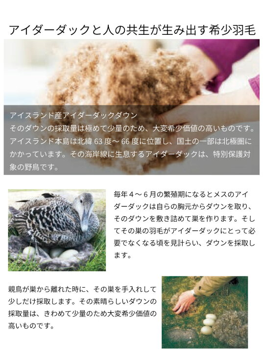楽天市場】西川プレミアム羽毛ふとん アイダーダックダウン95% 絹100 