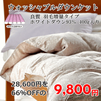 楽天市場】モリリン 掛け布団の通販