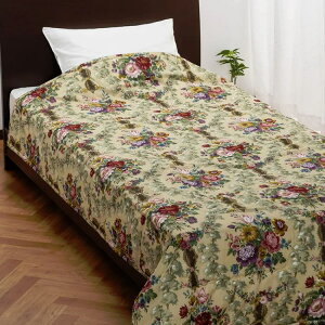  T_[\ EHbVu^Ȋ|ӂƂ ^ȂӂƂ ^ 0.5kg n 8020 RbgK[[  100 0.5kg Rf z  ʋC ۉ  AM[΍ 